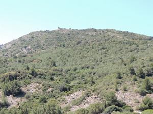 2019 06 01 LA SEYNE SUR MER A.G DE LA SEPIA FEDERATION NATIONALE (408)